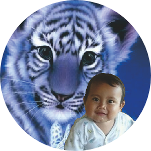 Avatar of creator Deni Supendi
