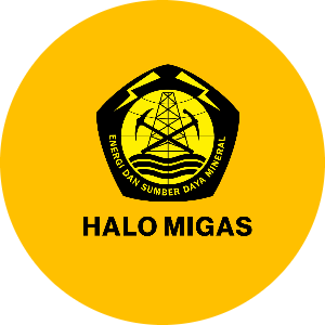 Avatar of creator @halomigas